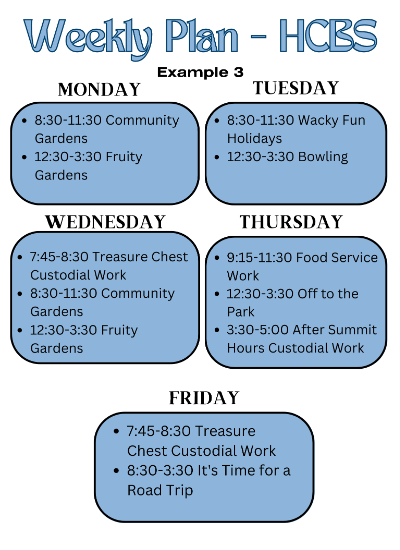 HCBS Example Schedule 3